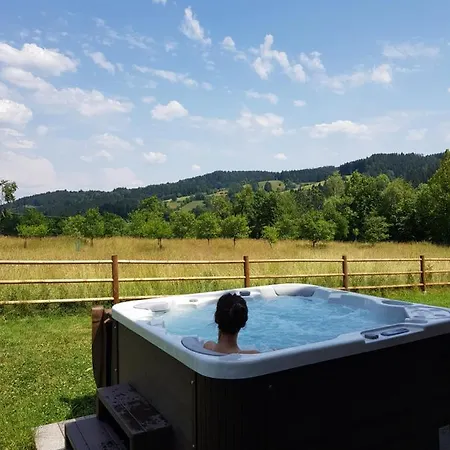 Holiday home Hrozenka Wellness Novy Hrozenkov